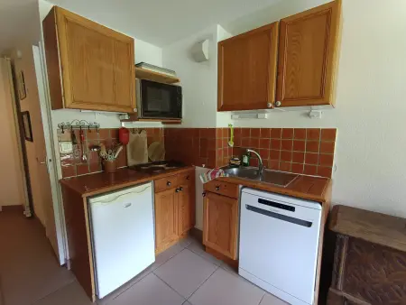 Appartement rez de jardin pieds sur les pistes à Montgenèvre, animaux admis : photo 4