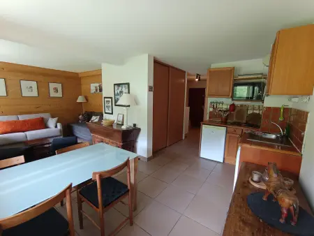Appartement rez de jardin pieds sur les pistes à Montgenèvre, animaux admis : photo 10