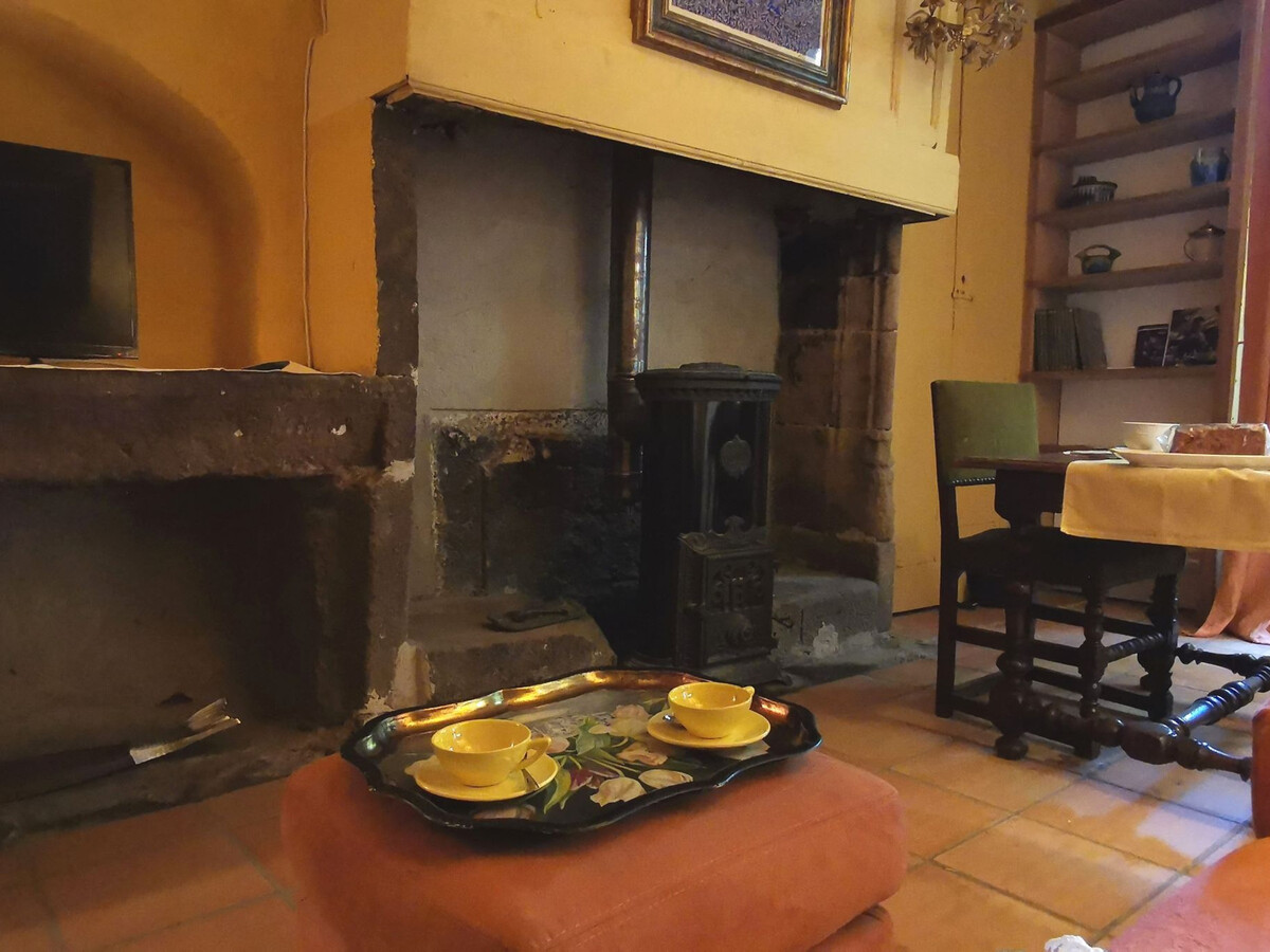 Appartement au cœur du Puy-en-Velay, cour privée sous laurier - Photo 7