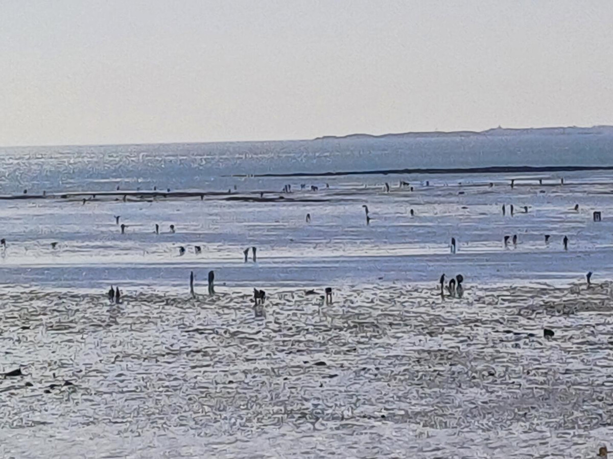 Gîte de plage typique, 500m de l'eau à Bréhal - Photo 14