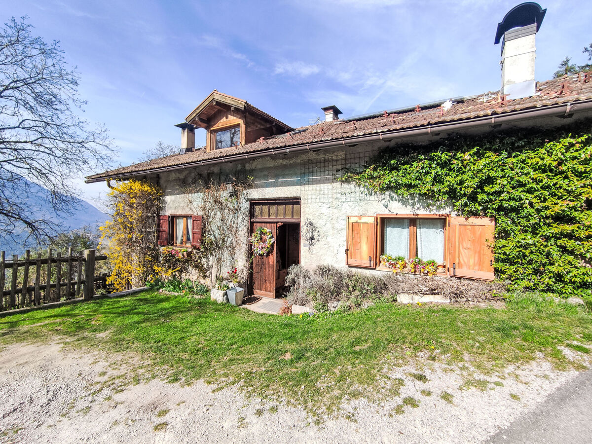 Baita Ballardini, chalet rustique 6 pers. Stenico - Photo 15