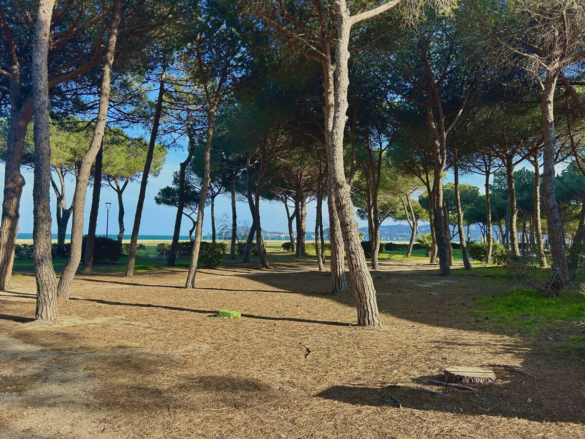 T3 rez-de-jardin à 50m de la plage, Argelès-sur-Mer - Photo 9
