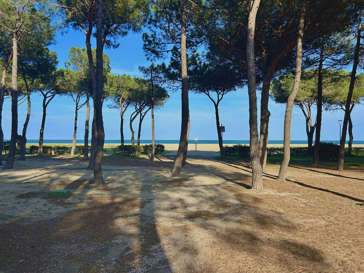 T3 rez-de-jardin à 50m de la plage, Argelès-sur-Mer - Photo 10