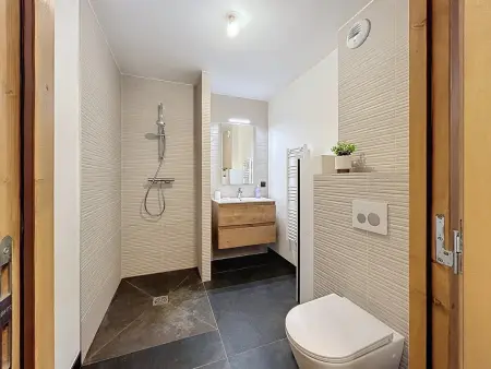 Appartement duplex 2 chambres aux Portes du Mont Blanc : photo 18