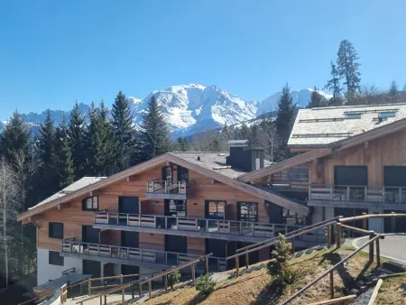 Appartement duplex 2 chambres aux Portes du Mont Blanc : photo 19