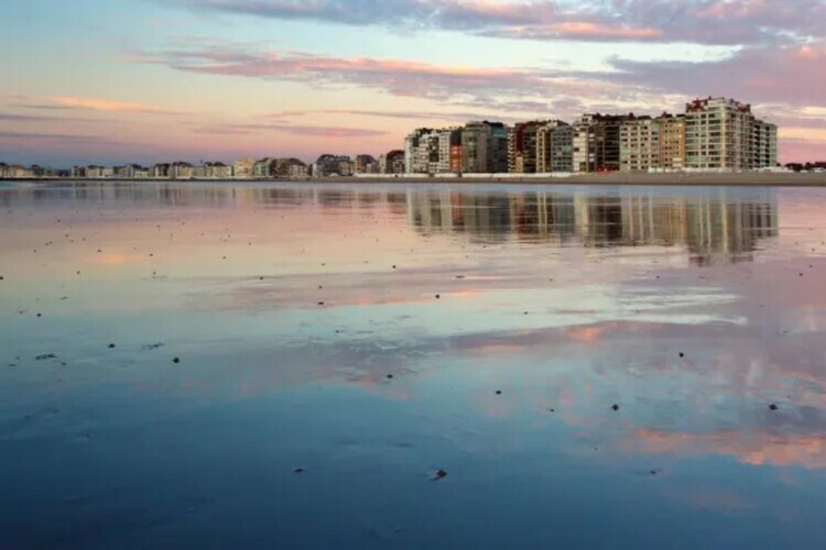Chalet 4 pers. à 500 m de la plage de Blankenberge - Photo 11