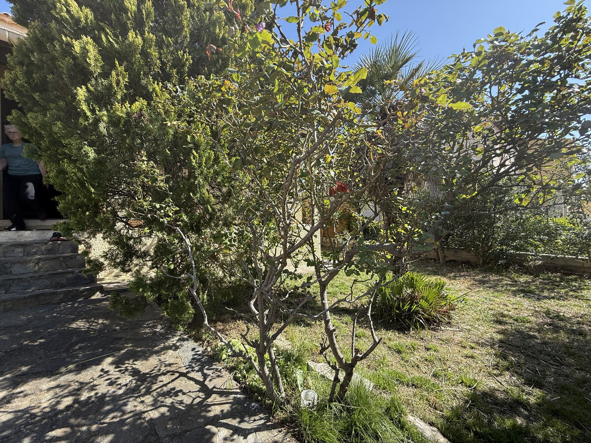 Maison 3 chambres, jardin & terrasse à Sète - Photo 6