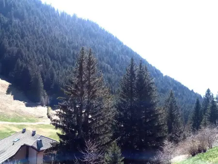 Appartement 2 pièces cabine 38m² vue montagne Le Biot - Photo 8