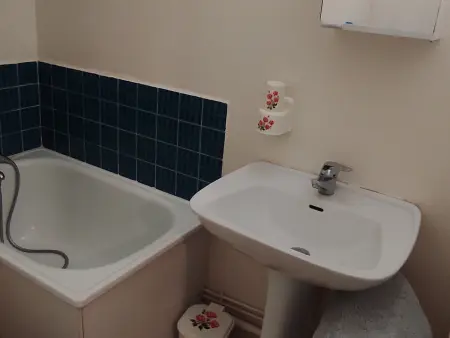 Studio cabine 25 m² skis aux pieds à Besse-et-Saint-Anastaise - Photo 11