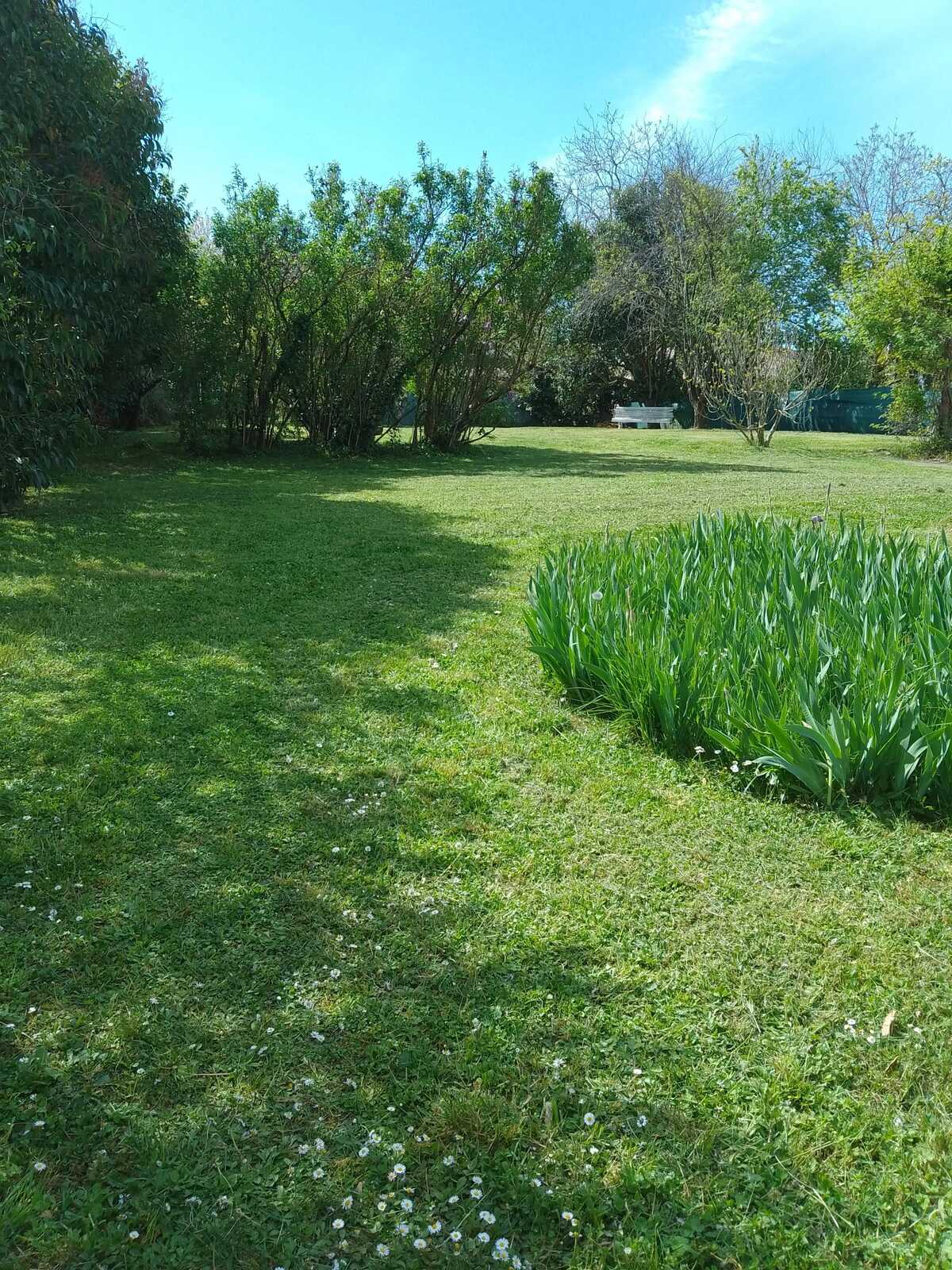 Maison avec jardin clôturé et barbecue à Vic-Fezensac - Photo 13