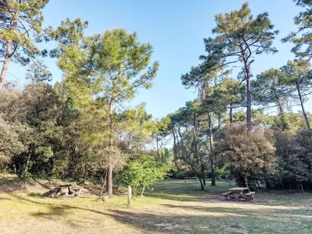 Maison rénovée à Fromentine, à 100 m de la plage : photo 24