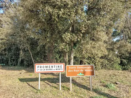 Maison rénovée à Fromentine, à 100 m de la plage : photo 25