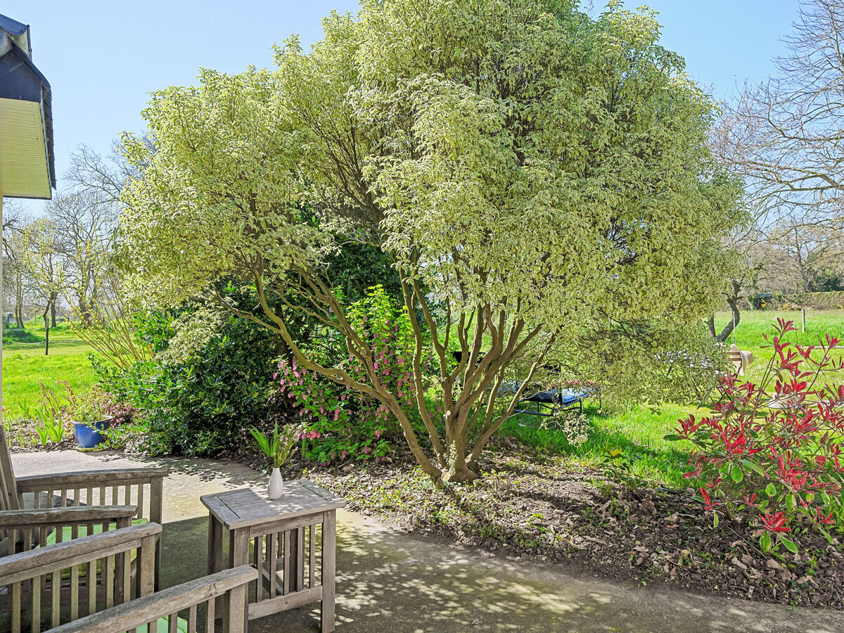 Les Châtaigners - Studio rénové 2024 à Etables-sur-Mer - Photo 14