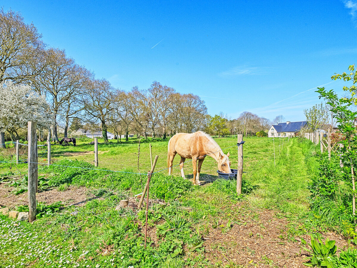 Les Châtaigners - Studio rénové 2024 à Etables-sur-Mer - Photo 22