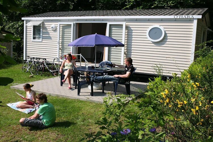 Chalet 4 pers. Ardinam à Olloy-sur-Viroin - Photo 1
