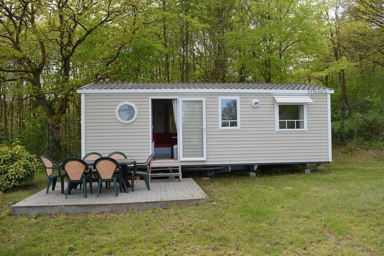 Chalet 4 pers. Ardinam à Olloy-sur-Viroin - Photo 9