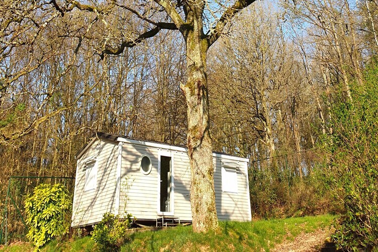Chalet 4 pers. Ardinam à Olloy-sur-Viroin - Photo 11
