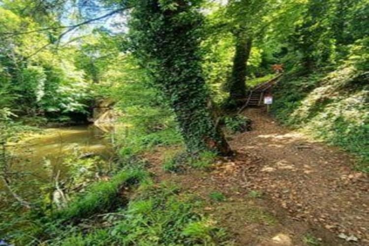 Chalet 6 pers. en parc forestier près d'Olloy-sur-Viroin - Photo 29
