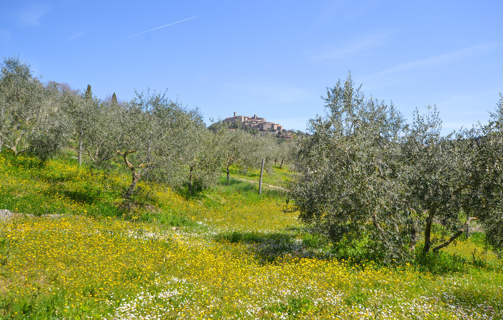 Fienile, Maison 6 personnes à Monte S.Maria Tiberina - Photo 21