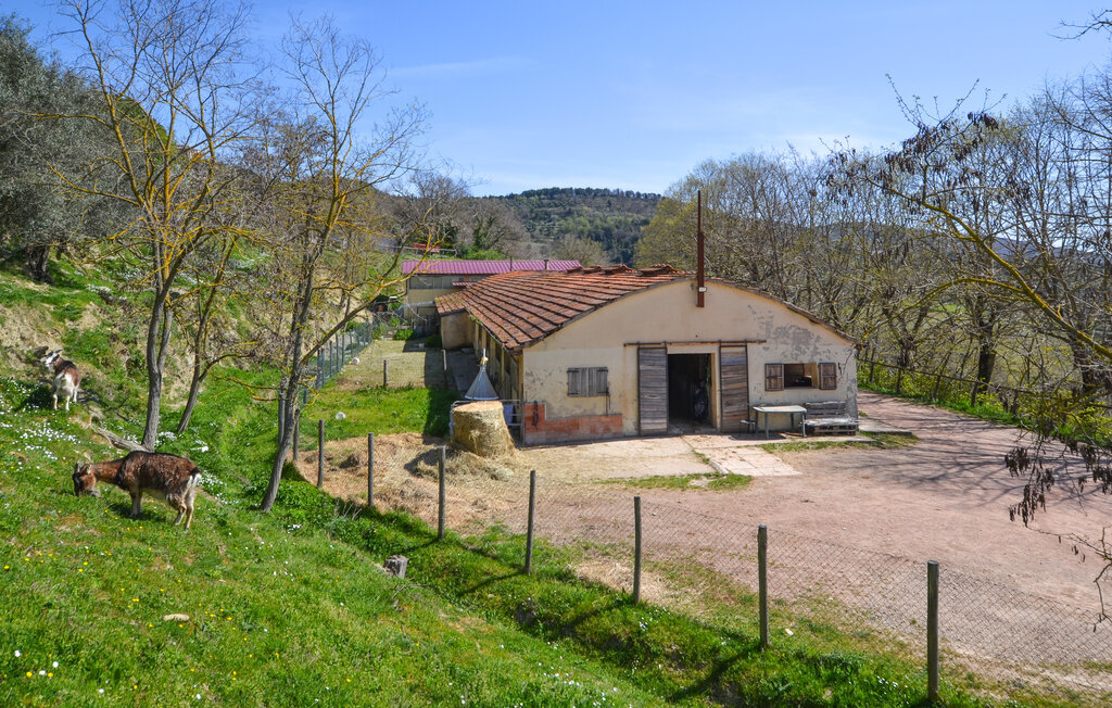Fienile, Maison 6 personnes à Monte S.Maria Tiberina - Photo 31