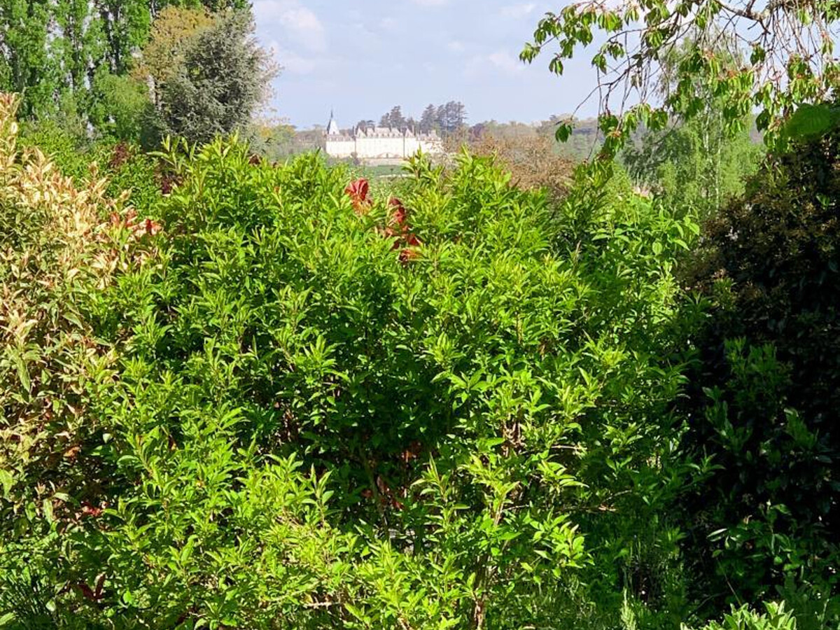 La Vigneronne : gîte 8 pers. 2 maisons à Saint-Claude-de-Diray - Photo 21