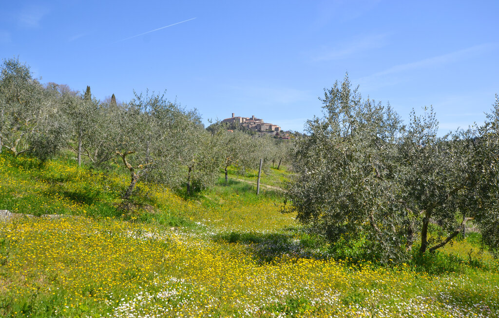 Limonaia, Maison 6 personnes à Monte S.Maria Tiberina - Photo 23