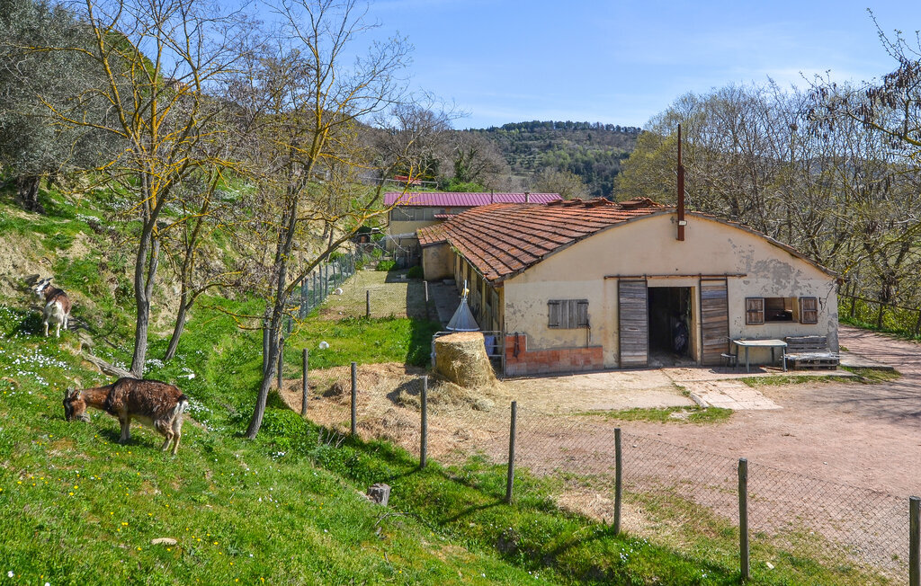 Limonaia, Maison 6 personnes à Monte S.Maria Tiberina - Photo 32