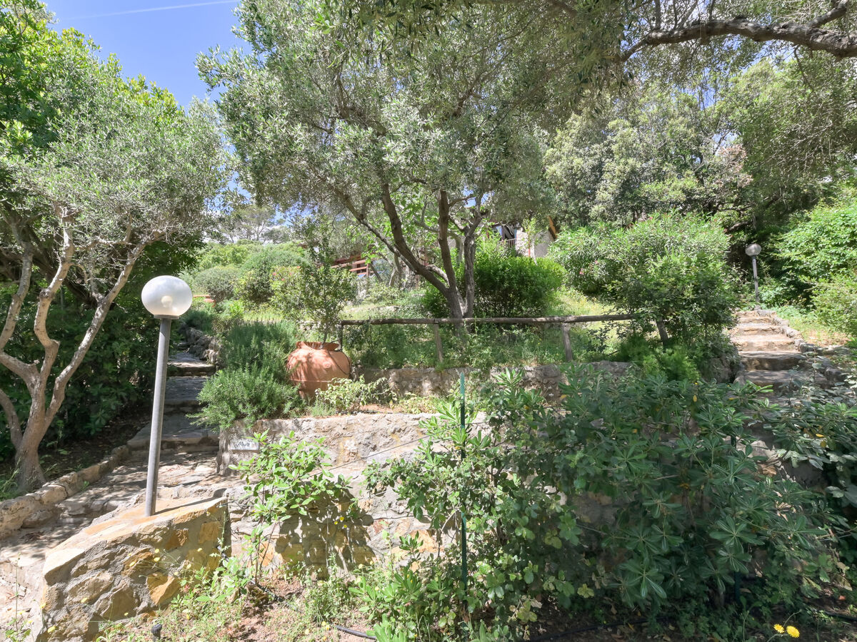 La Tagliata, maison 8 pers. vue mer à Ansedonia - Photo 40