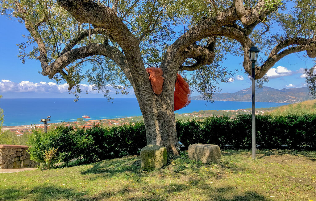 Il Giardino dei Filosofi, Appartement 6 personnes à Ascea - Photo 2