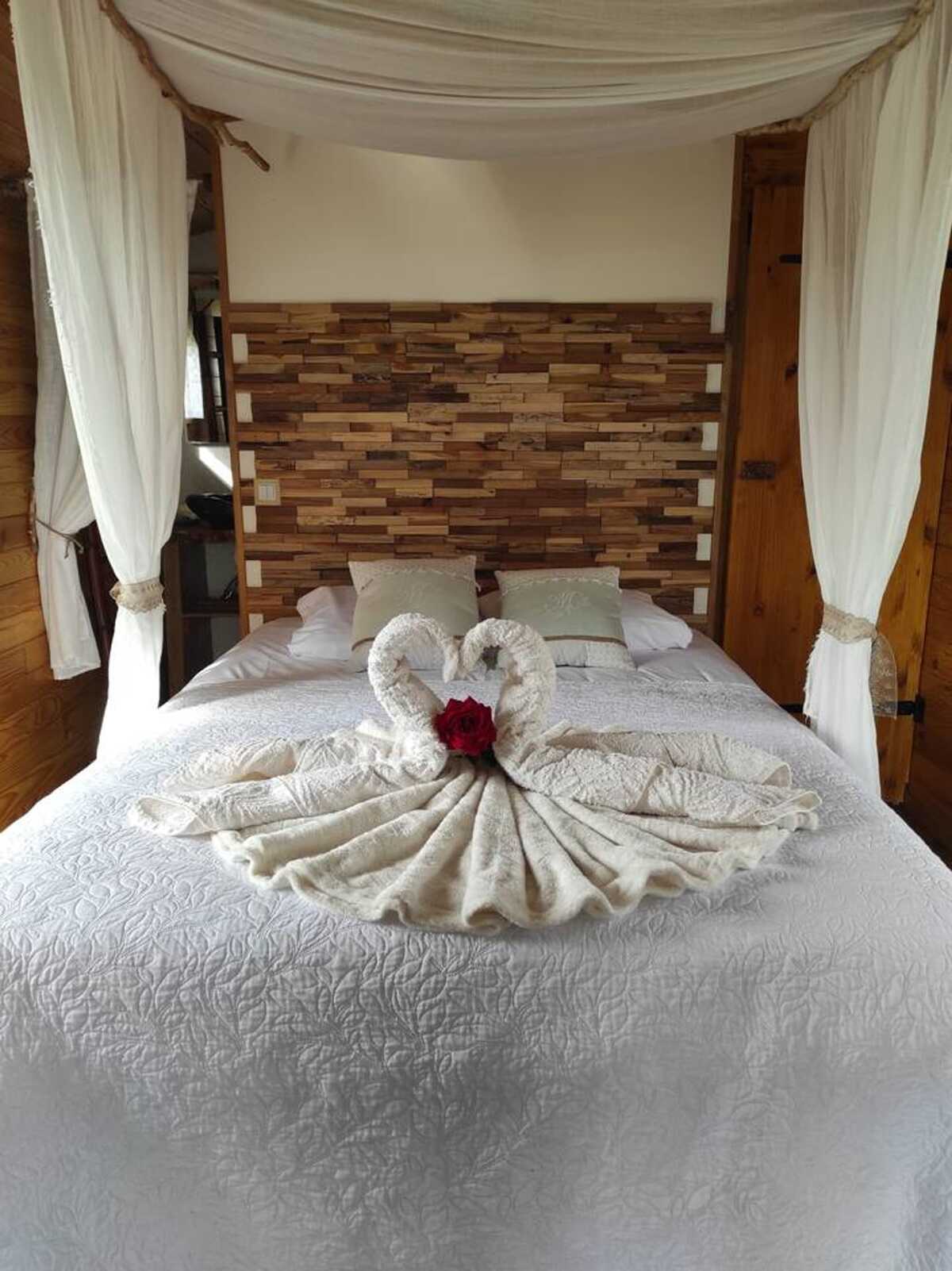 Bungalow avec jacuzzi à Cabariot, 3 personnes - Photo 3