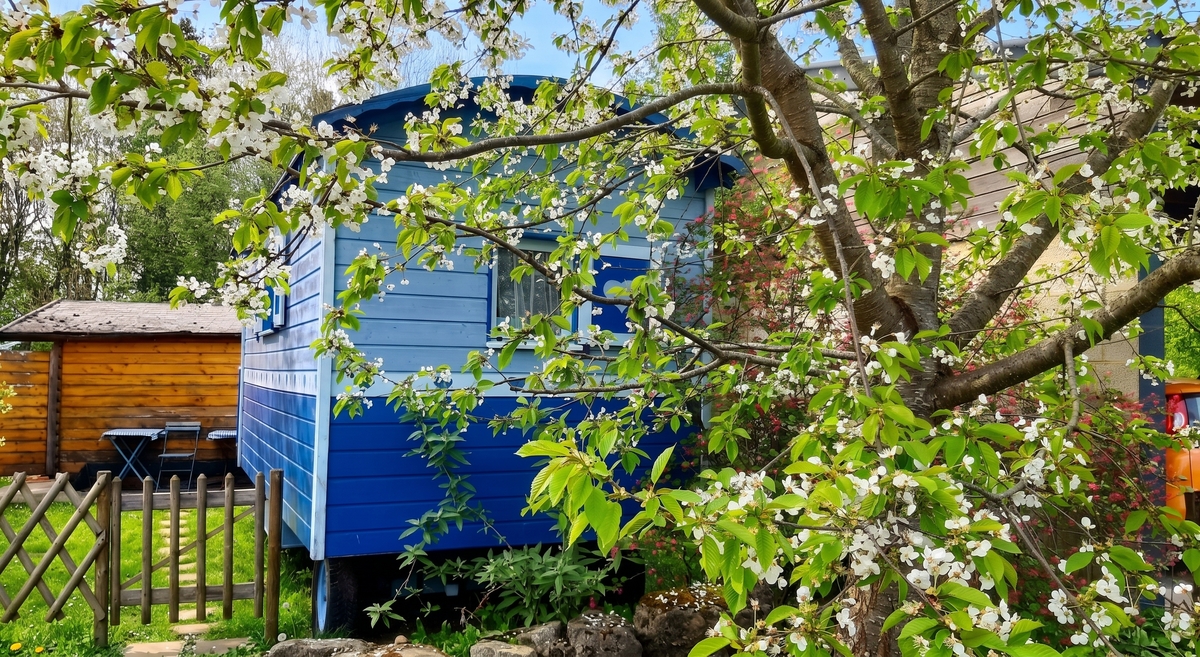 Bungalow avec jardin clôturé et barbecue à Hamois - Photo 4
