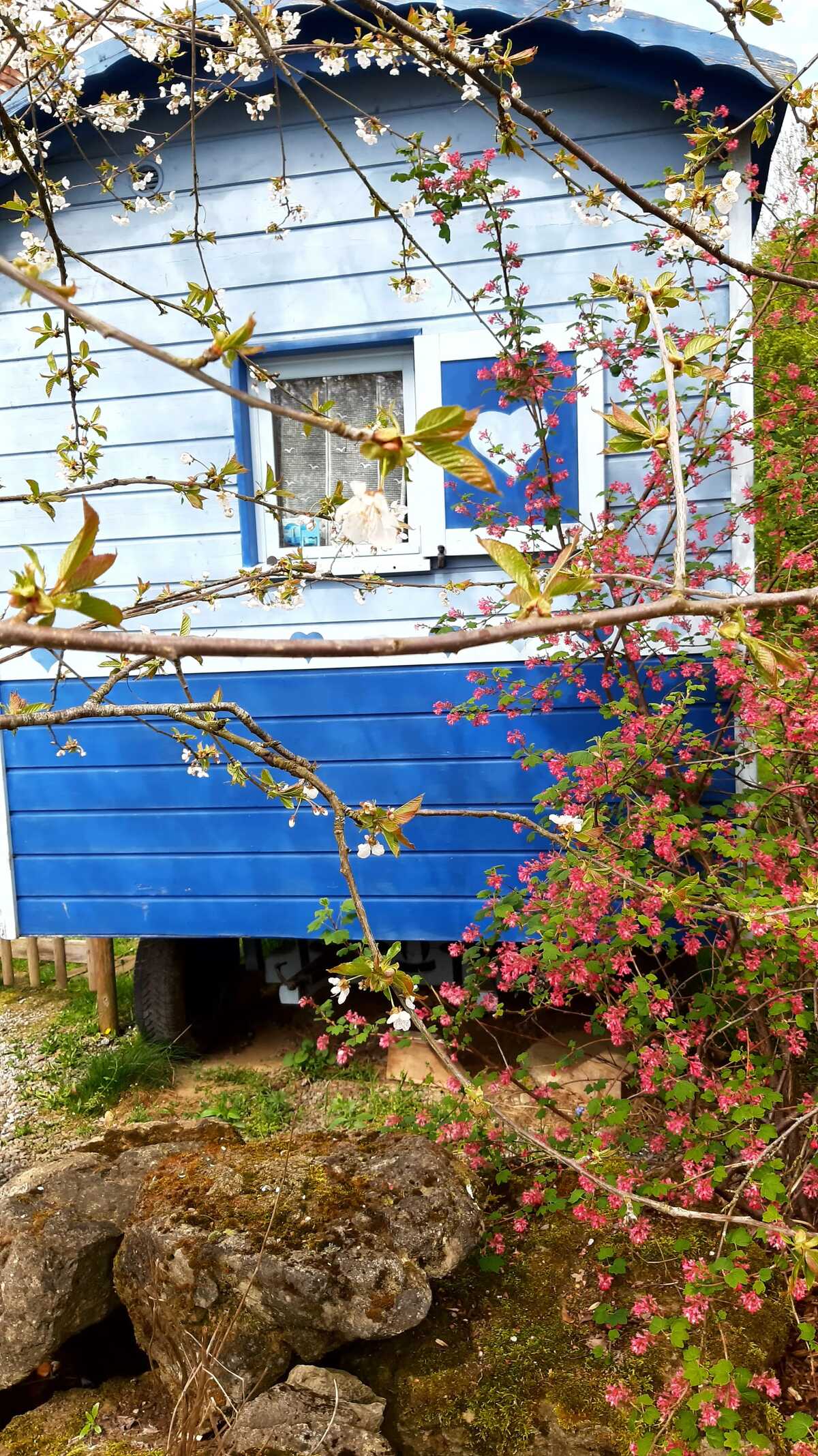 Bungalow avec jardin clôturé et barbecue à Hamois - Photo 6