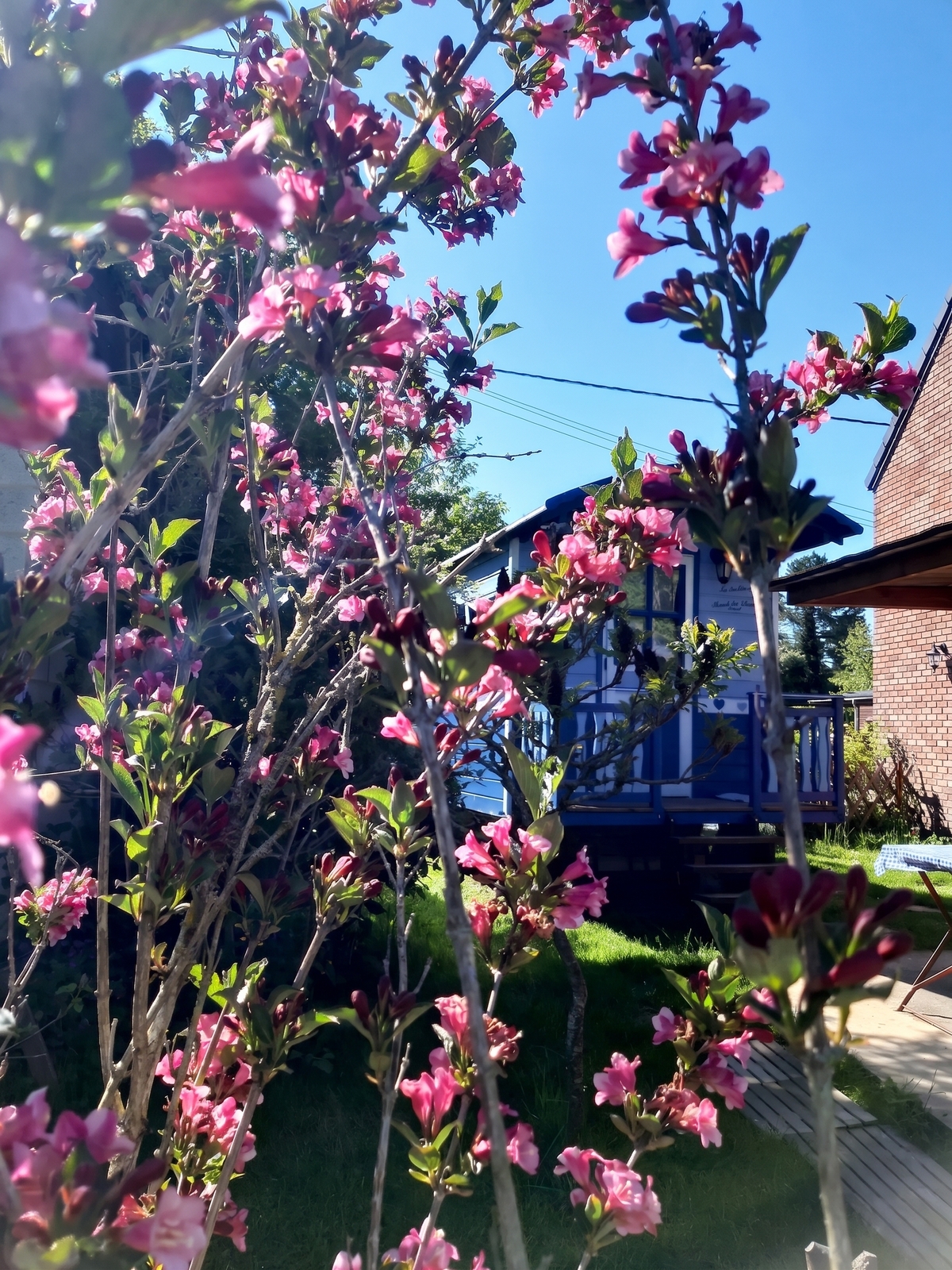 Bungalow avec jardin clôturé et barbecue à Hamois - Photo 11