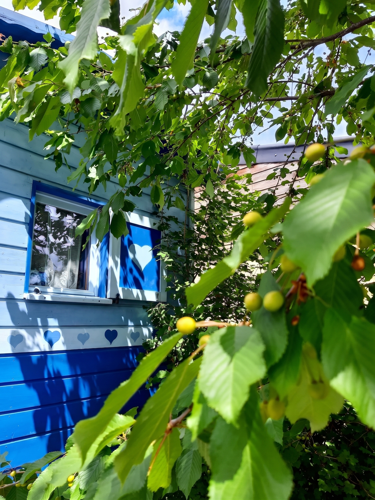Bungalow avec jardin clôturé et barbecue à Hamois - Photo 13