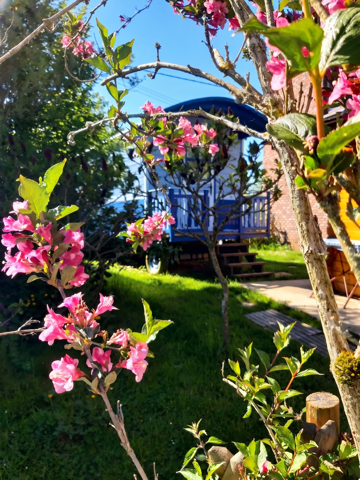 Bungalow avec jardin clôturé et barbecue à Hamois - Photo 16