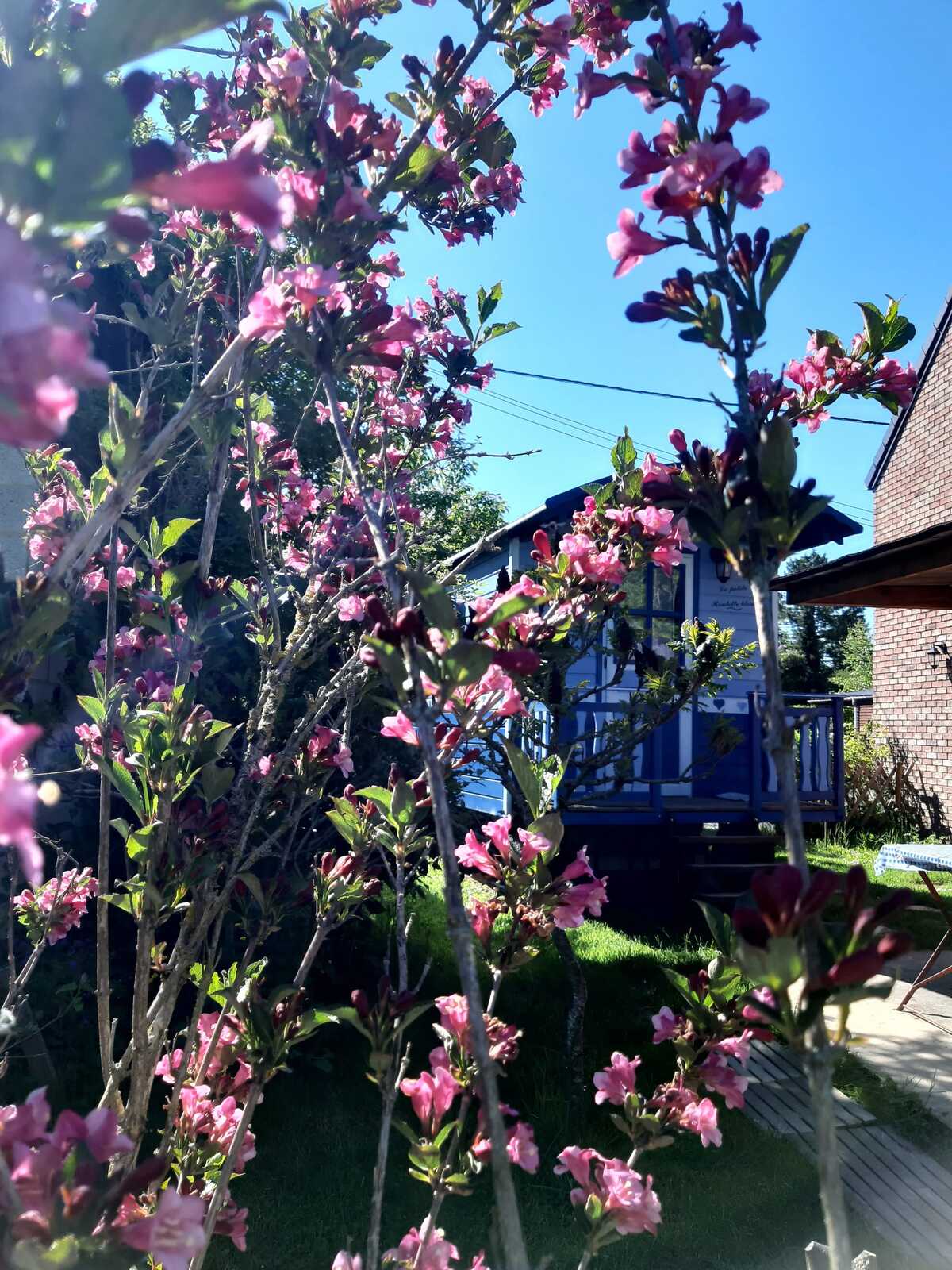 Bungalow avec jardin clôturé et barbecue à Hamois - Photo 27