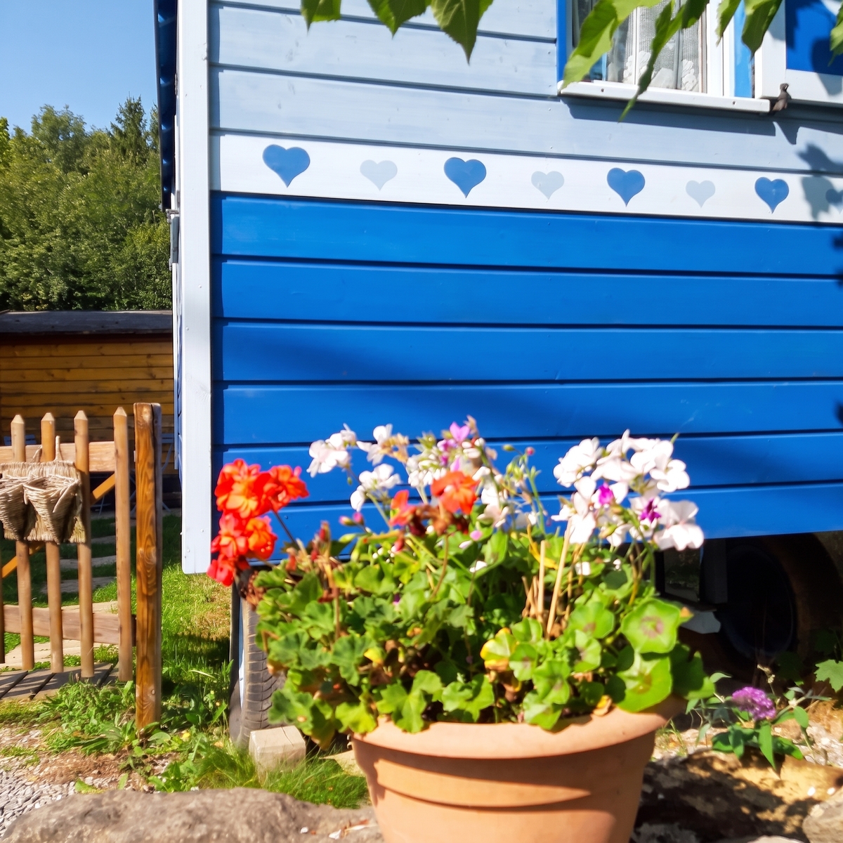 Bungalow avec jardin clôturé et barbecue à Hamois - Photo 34