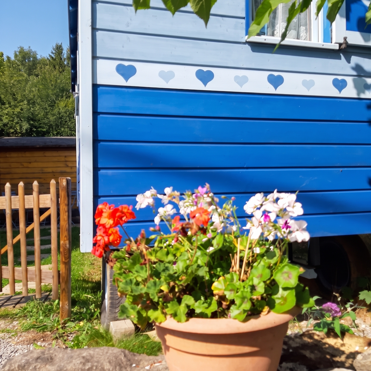 Bungalow avec jardin clôturé et barbecue à Hamois - Photo 36
