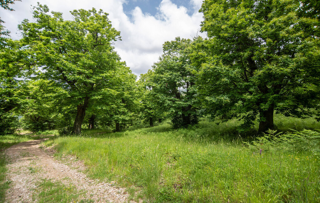 Tenuta Focaioni - Monte Amiata, Maison 5 personnes à Stribugliano - Photo 30
