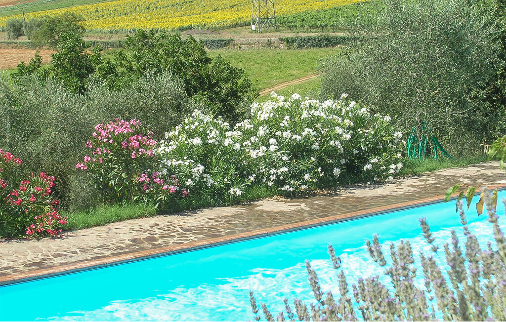 Appartement 4 personnes à Ancaiano - Photo 12