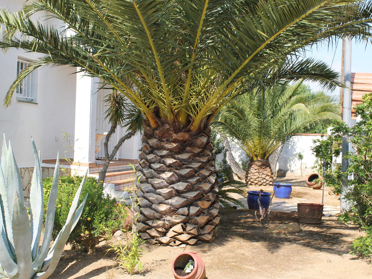 Villa Casa Bonita à Roses : 4 chambres, piscine 5x10m - Photo 25