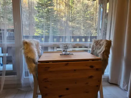 Studio rénové 24m² balcon forêt à Pra-Loup 1500 : photo 8