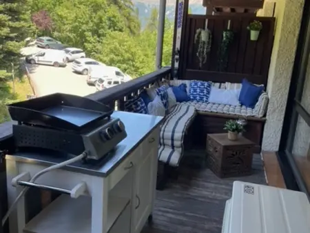 Studio rénové 24m² balcon forêt à Pra-Loup 1500 : photo 12