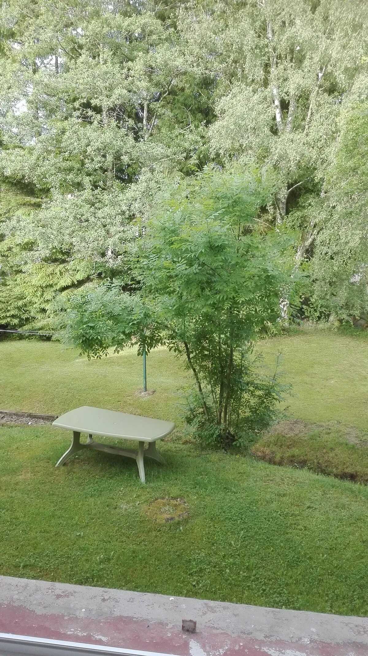 Maison 80 m² avec jardin vue montagne à Xonrupt-Longemer - Photo 14