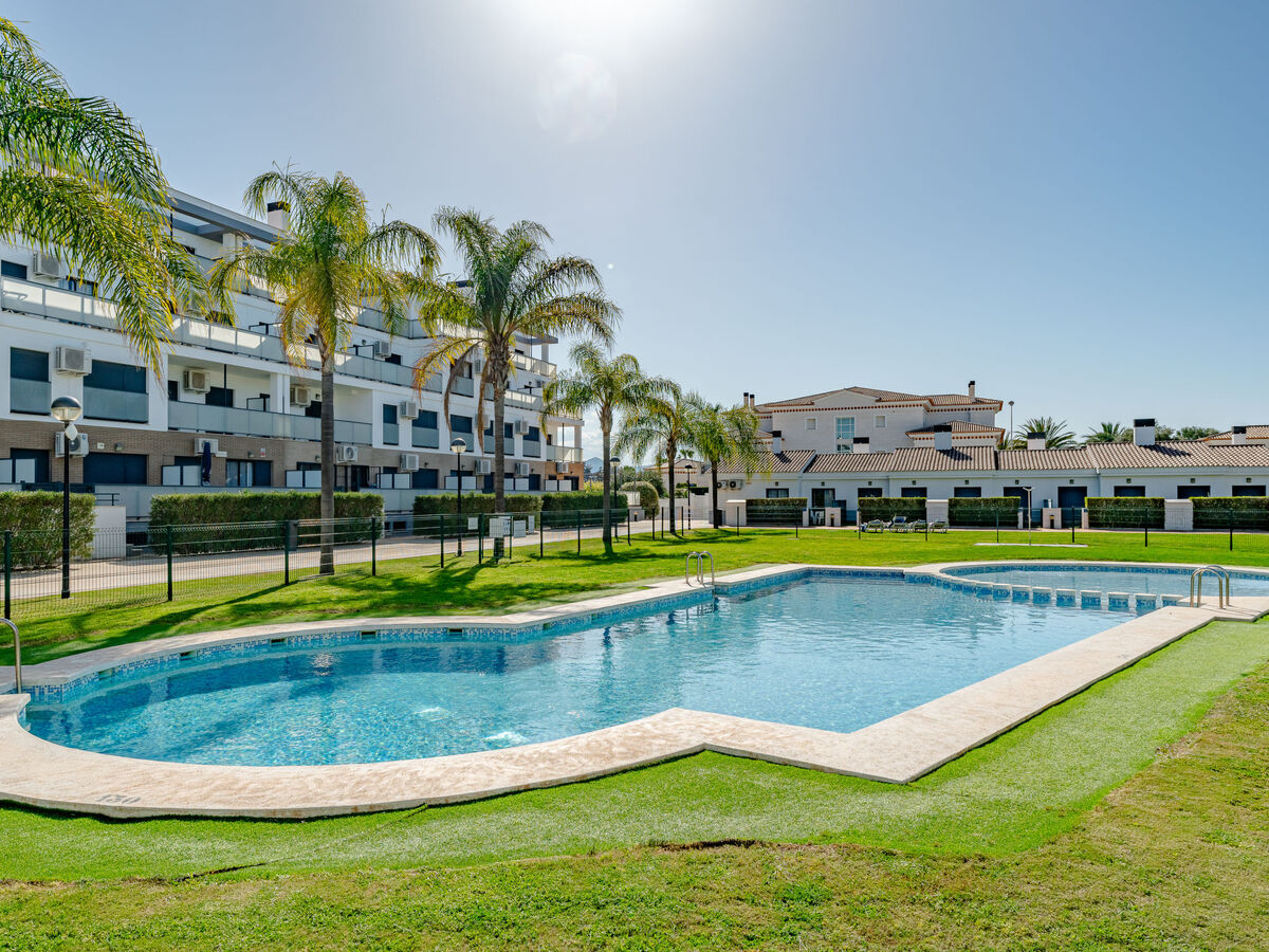 Las Dunas Oliva Nova, apt 4 pers. à 220 m de la plage - Photo 47