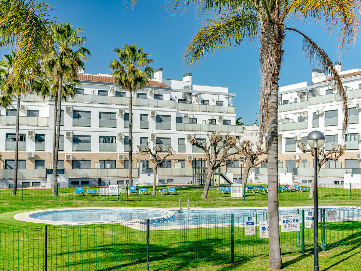 Las Dunas Oliva Nova, apt 4 pers. à 220 m de la plage - Photo 49