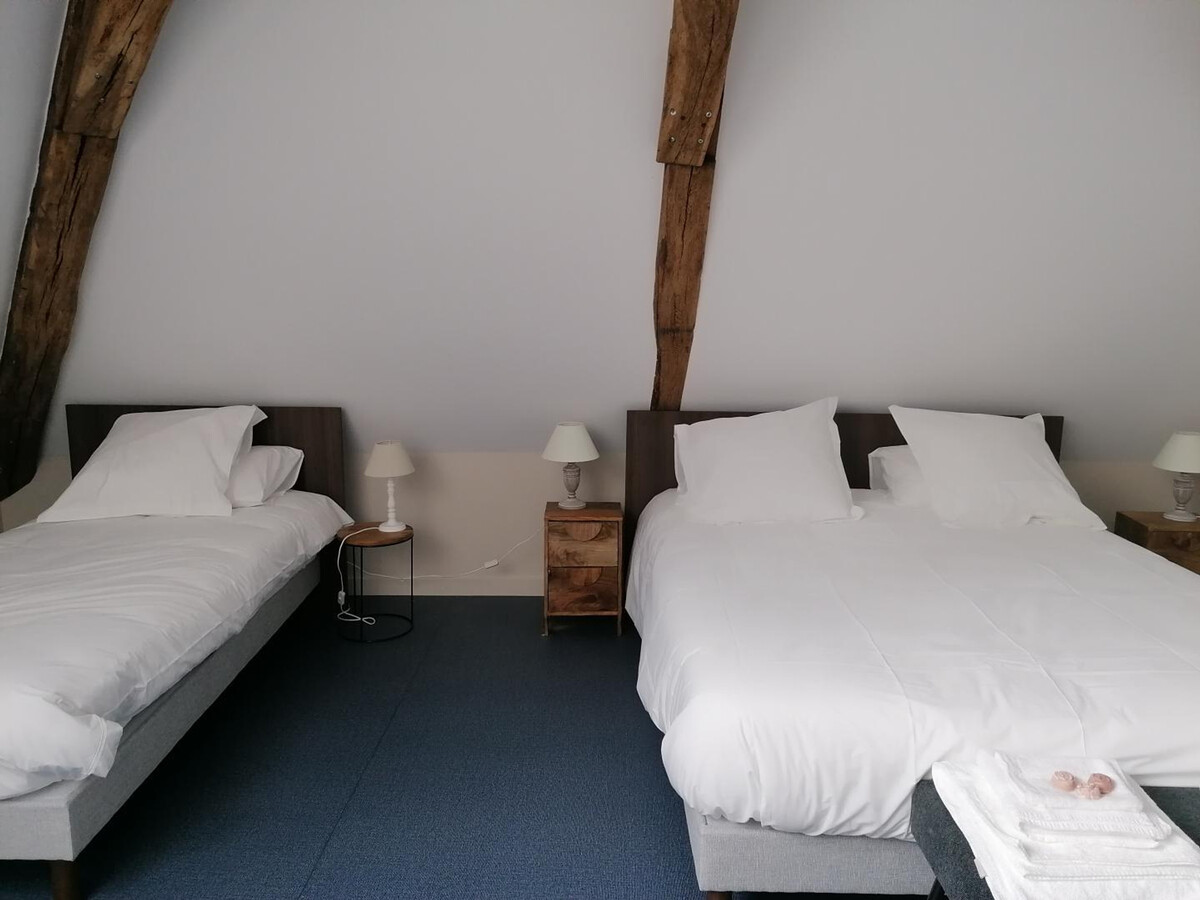 Gîte historique 10 personnes à Theneuille, tout inclus - Photo 13
