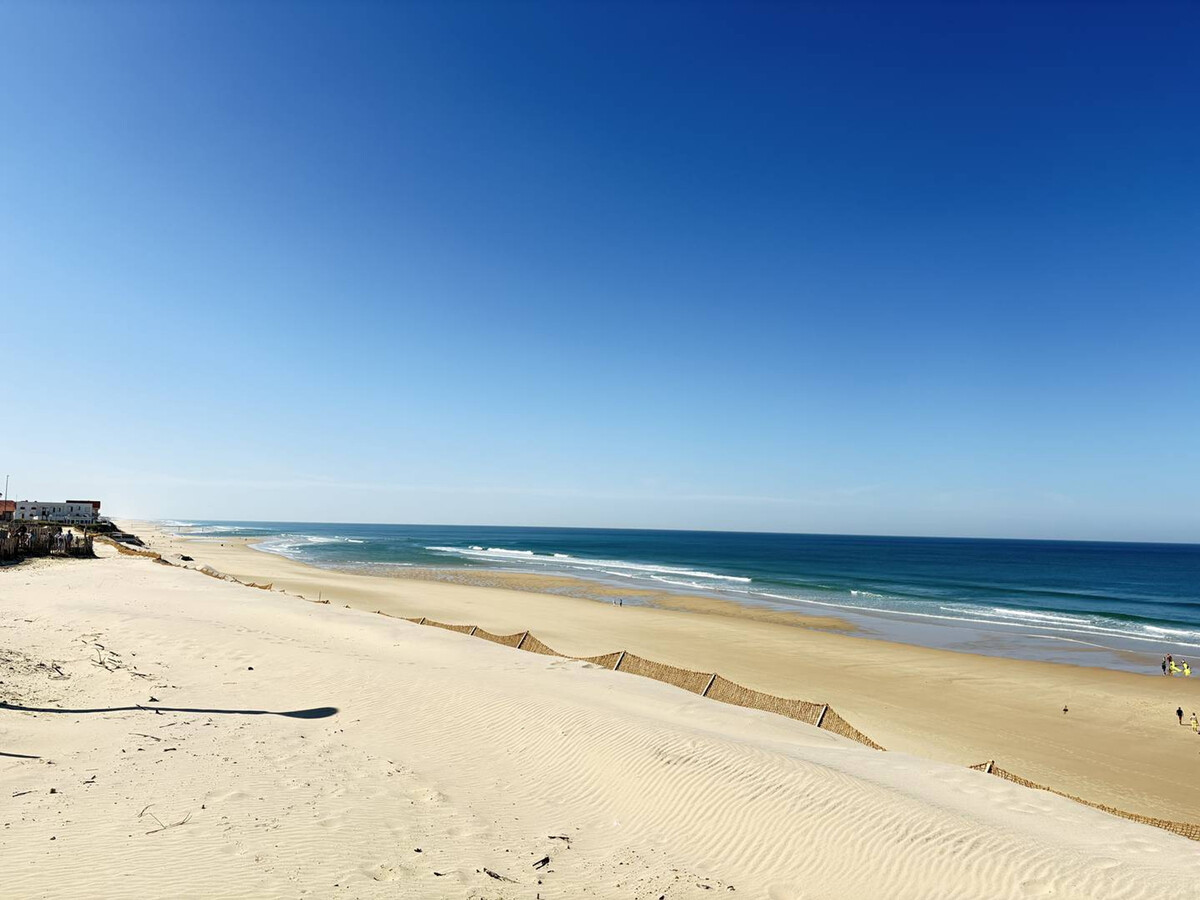 Villa 8 pers. Biscarrosse Plage, terrasse couverte et plancha - Photo 15