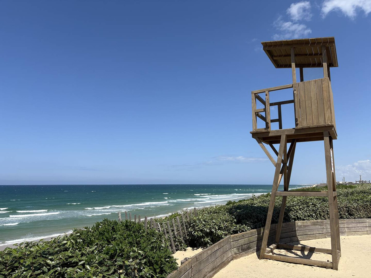 Villa 8 pers. Biscarrosse Plage, terrasse couverte et plancha - Photo 19