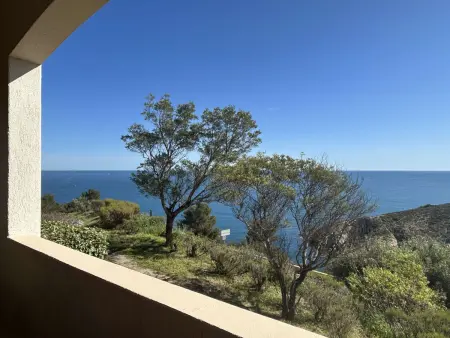Appartement vue mer à 500m du port à Banyuls-sur-Mer : photo 3